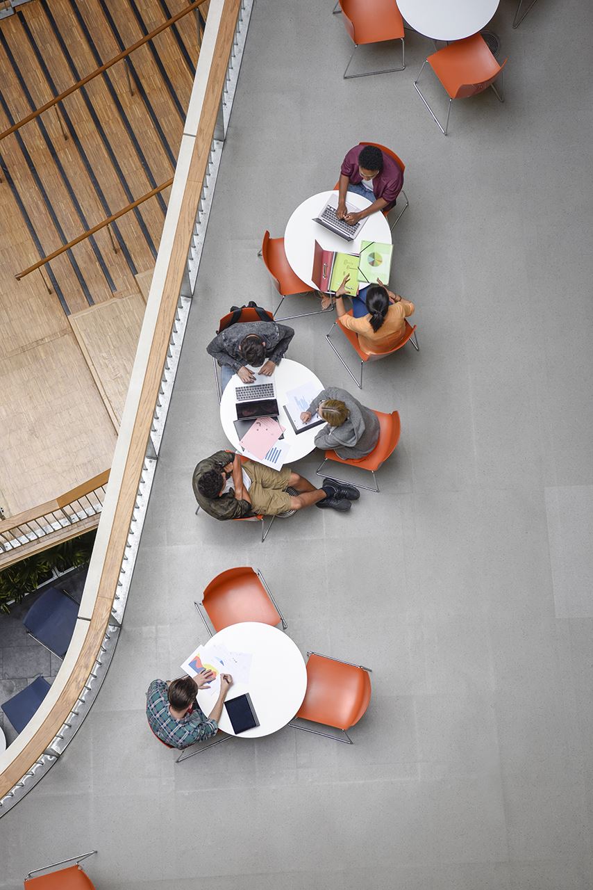 Group members collaborating